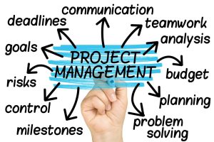 Project manager roles and responsibilities
