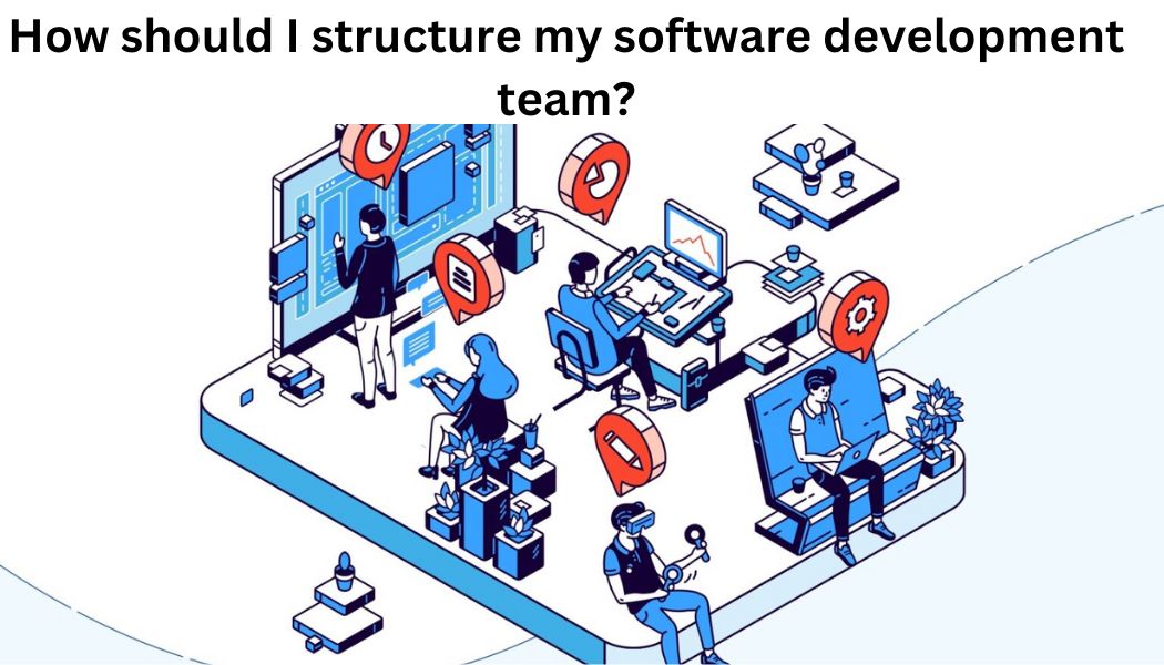 software development team